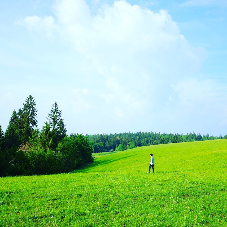 Lawn green the scenery