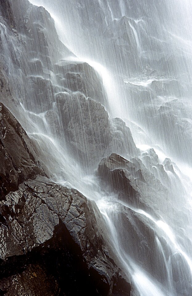 Water nature river