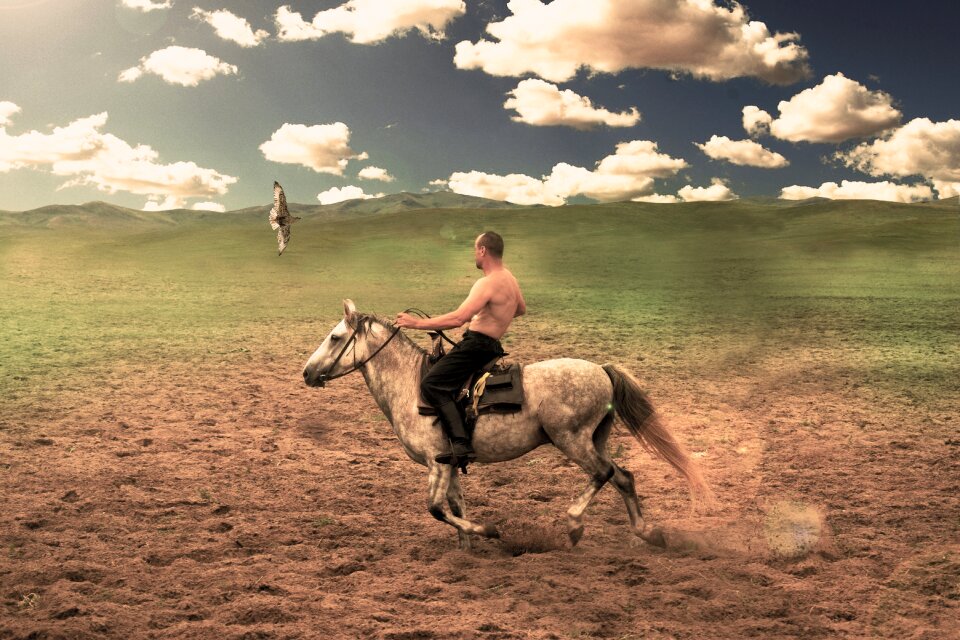 Saker horse clouds