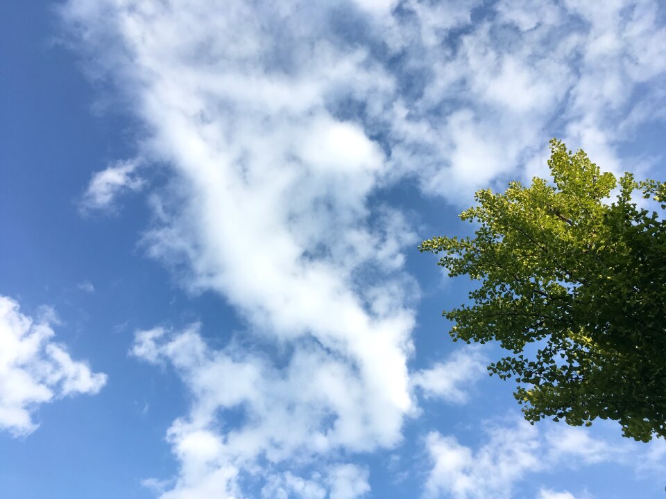 Air freshness cloud