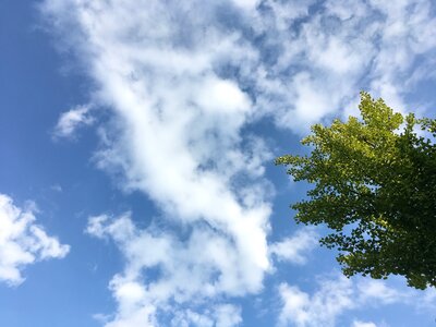 Air freshness cloud