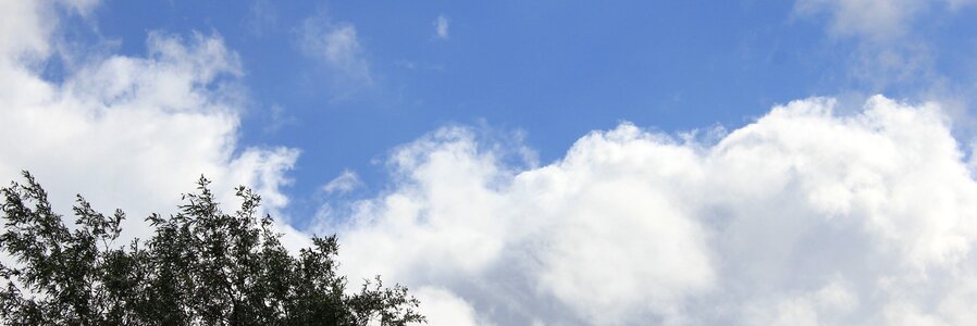 Cloud treetop oxygen photo