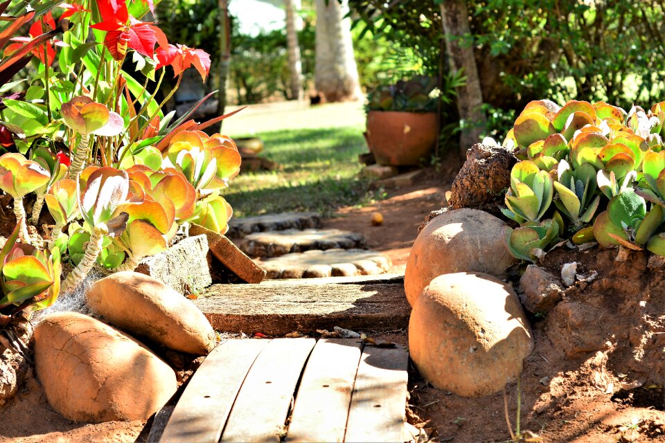 Ride garden resting place