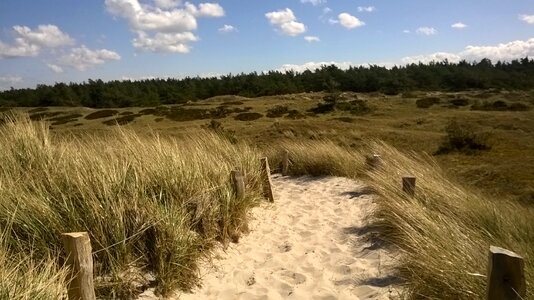Away baltic sea dune landscape photo