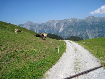 Landschaft alpe