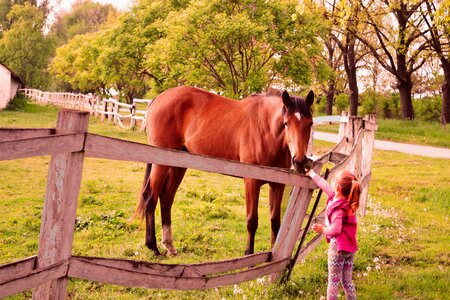 Farm together wild photo