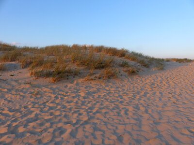 Ocean wild france photo