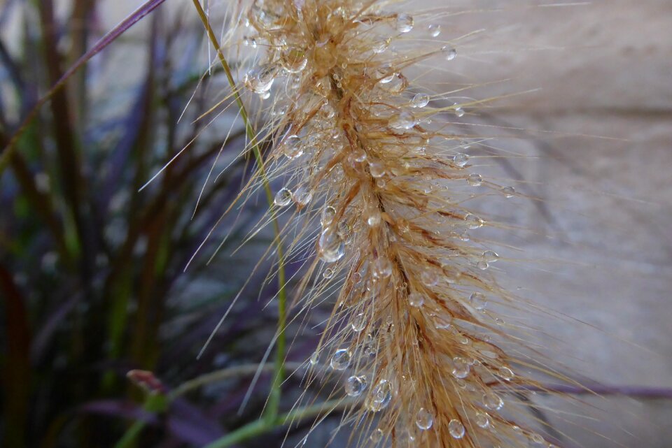 Captured water drop water