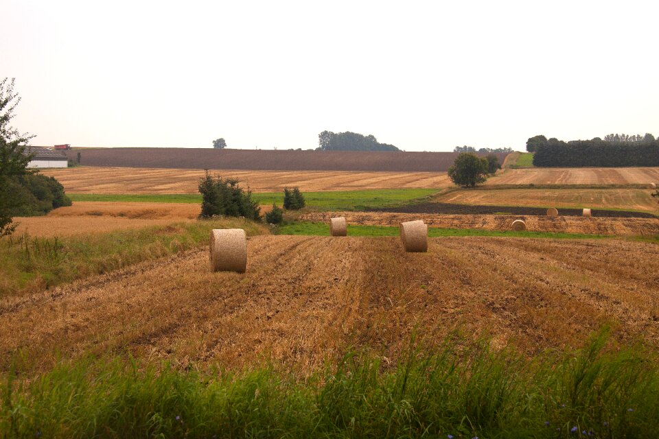 Field farming denmark