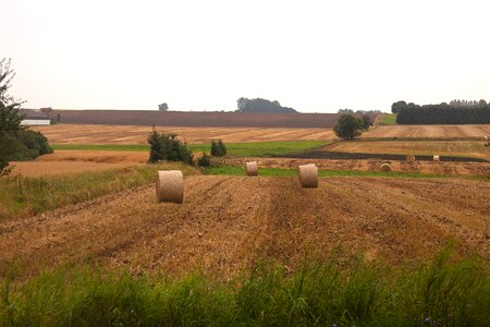 Field farming denmark