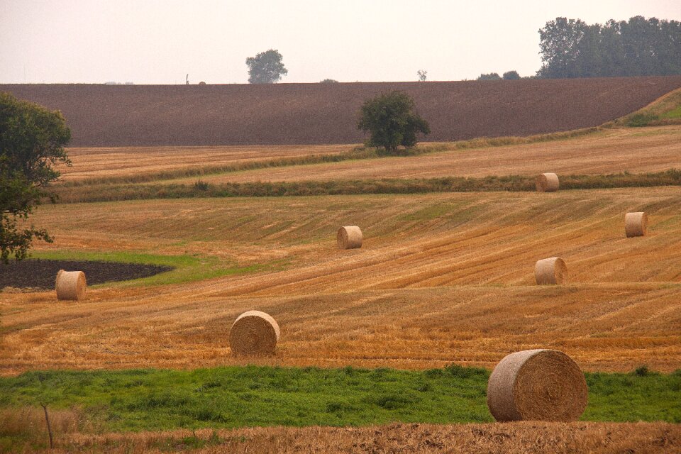 Hay-balls farming denmark