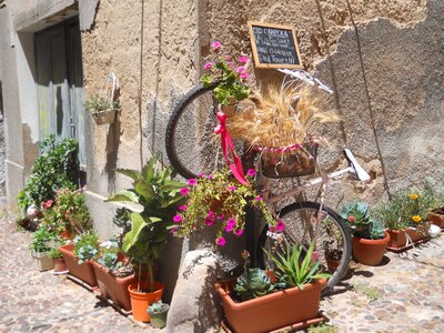Bicicle street