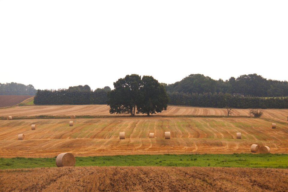 Hay-balls farming denmark