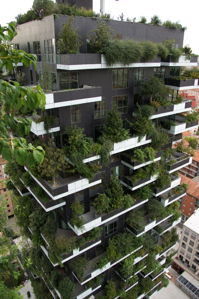 Milan trees architecture