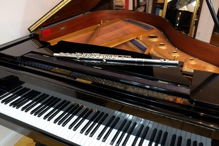 Flute classic musical instrument