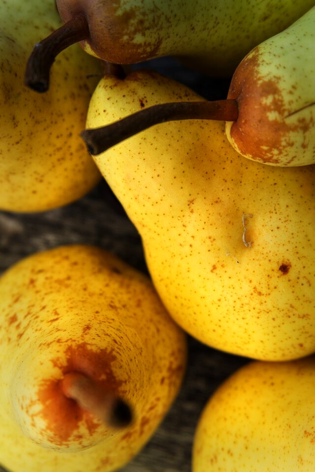 Dessert vitamins yellow