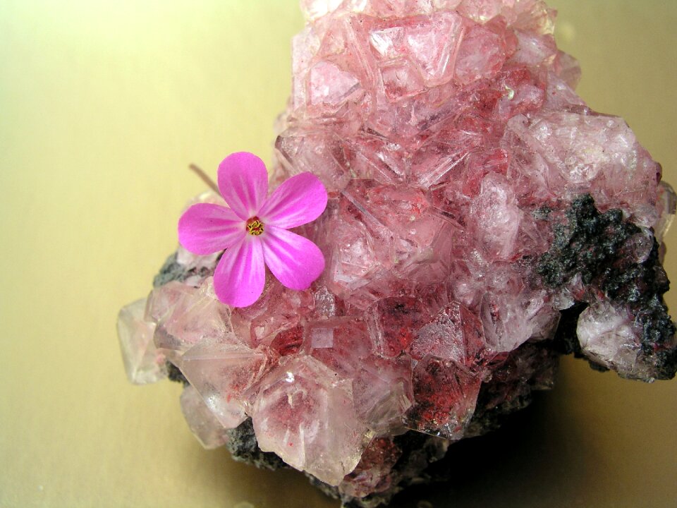 Flower rock