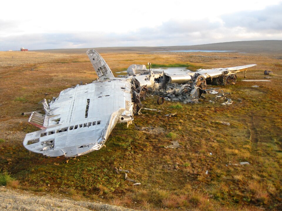 Arctic fuselage wings