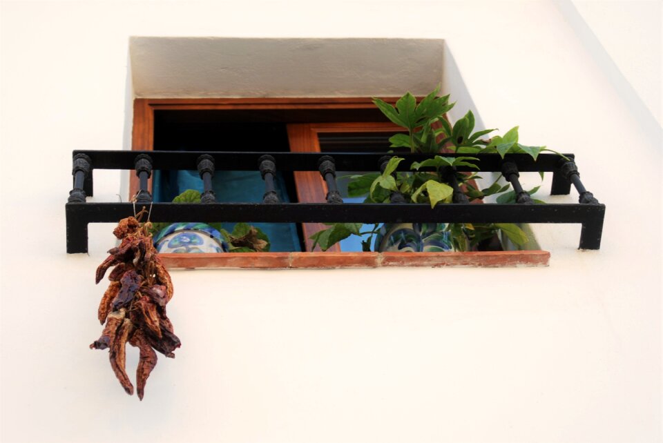Window andalusia spain