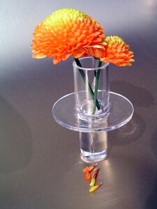 Flower vase photo