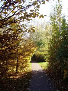 Emerge autumn mood autumn motives
