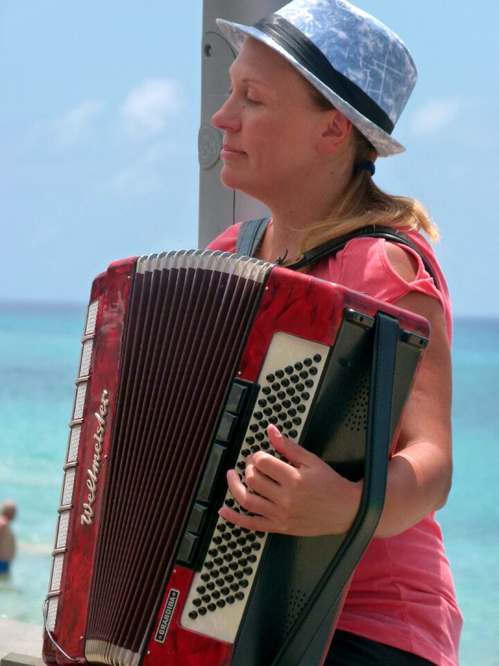 Hand-harmonica music accordion