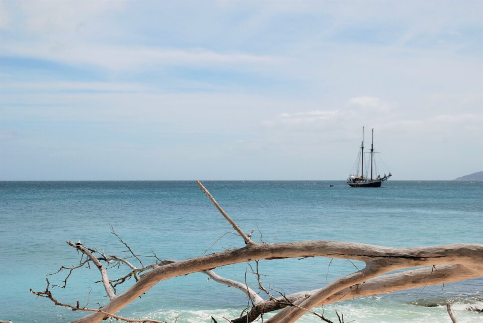 Sailboat sea boat photo