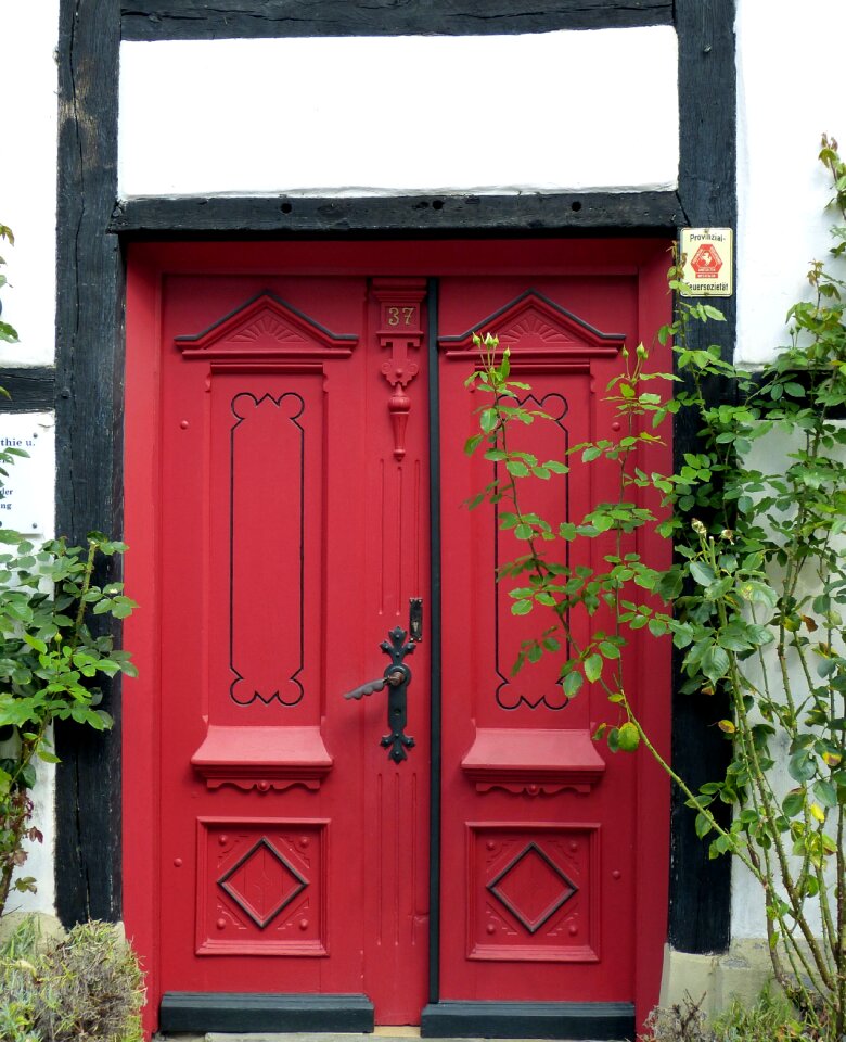 Wood front door gate photo