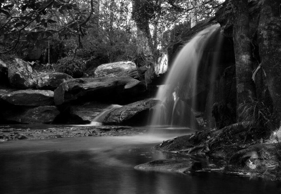 Waterfall mountain tree