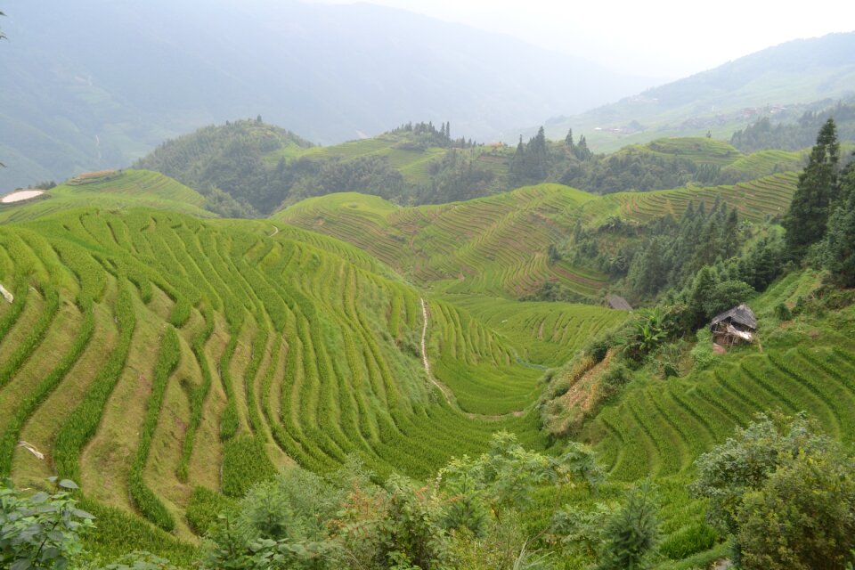 Longsheng green nature