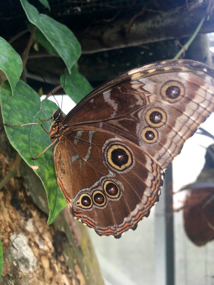 Nature environment