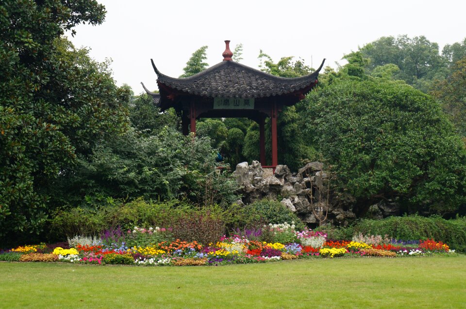 Asia chinese plant