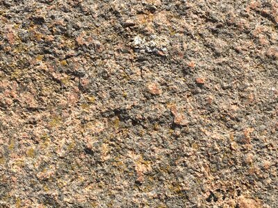 Texture surface natural
