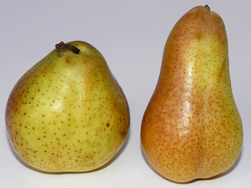 Round length fruit growing