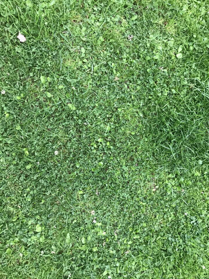 Surface nature field