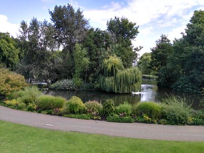 United kingdom water trees