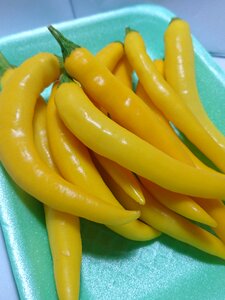 Yellow chillies hot peppers photo