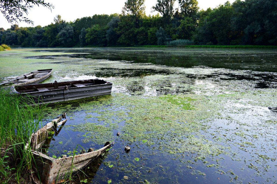 The danube backwater boat