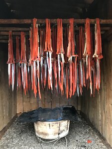 Smoking salmon six mile lake