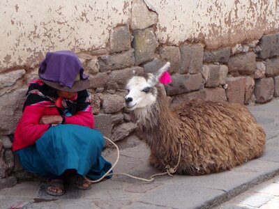 Peru mammal tourism