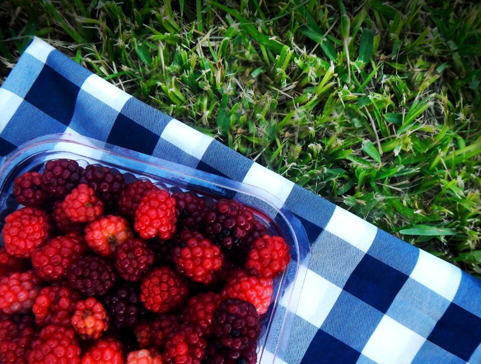 Blackberries picnic red fruits