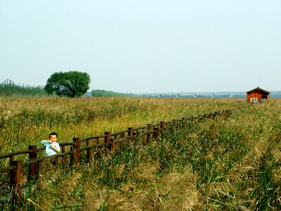 Chen bridge yellow river wetlands