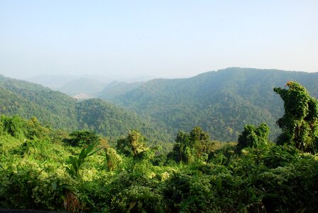 National park khao yai national park tropical photo