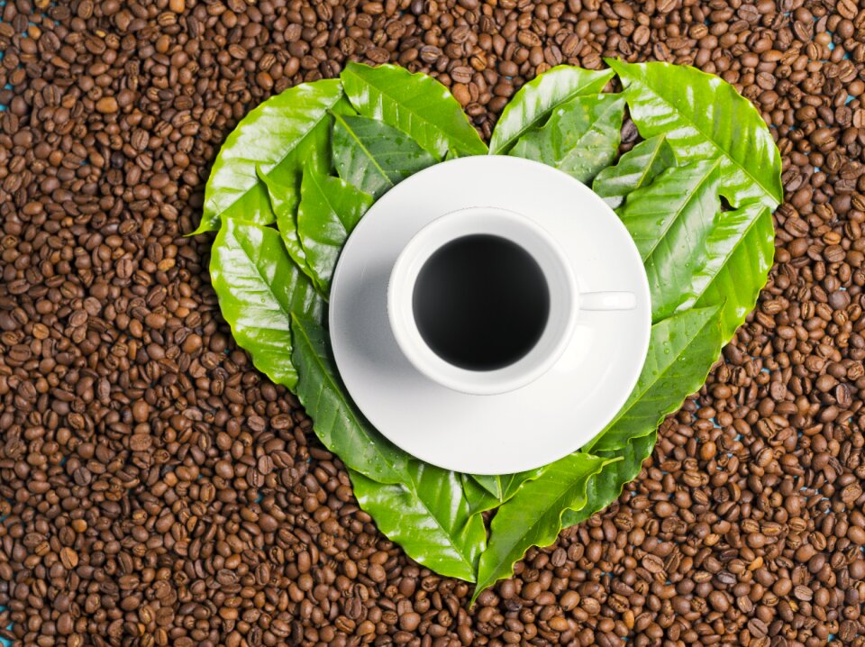 Heart coffee bean passion for coffee