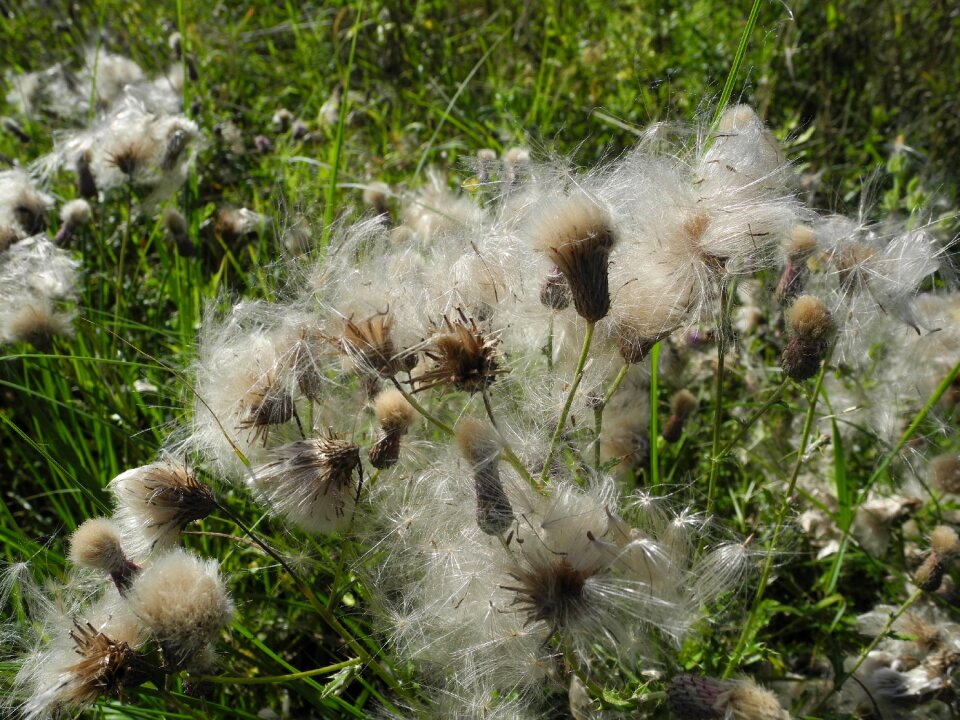 Accumulation macro nature