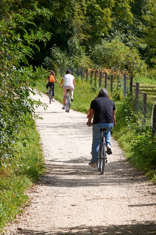 Bike nature cycle