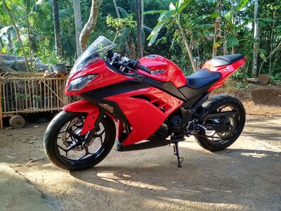 Red morning