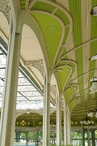 Green architecture gracefully