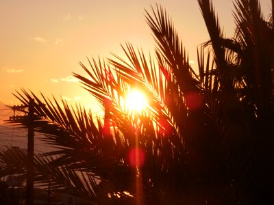 Setting sun relax evening sky photo