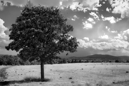 Black white minimal field photo